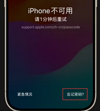 蓬安苹果手机密码维修分享iPhone忘记了刚设置的密码 